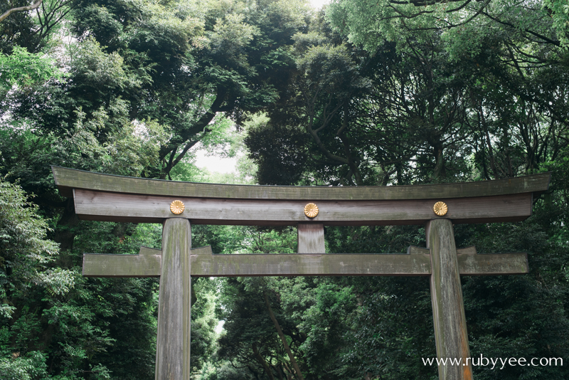 Meiji Jingu | www.rubyyee.com