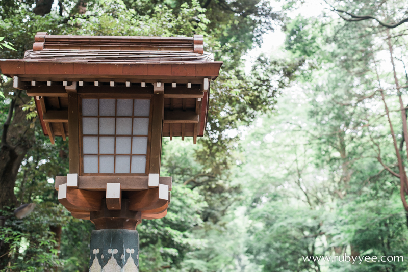 Meiji Jingu | www.rubyyee.com