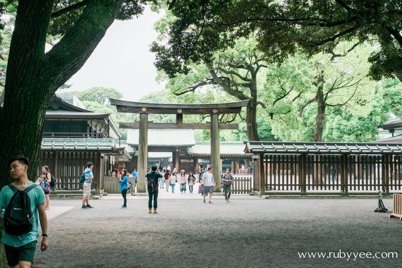 Meiji Jingu | www.rubyyee.com