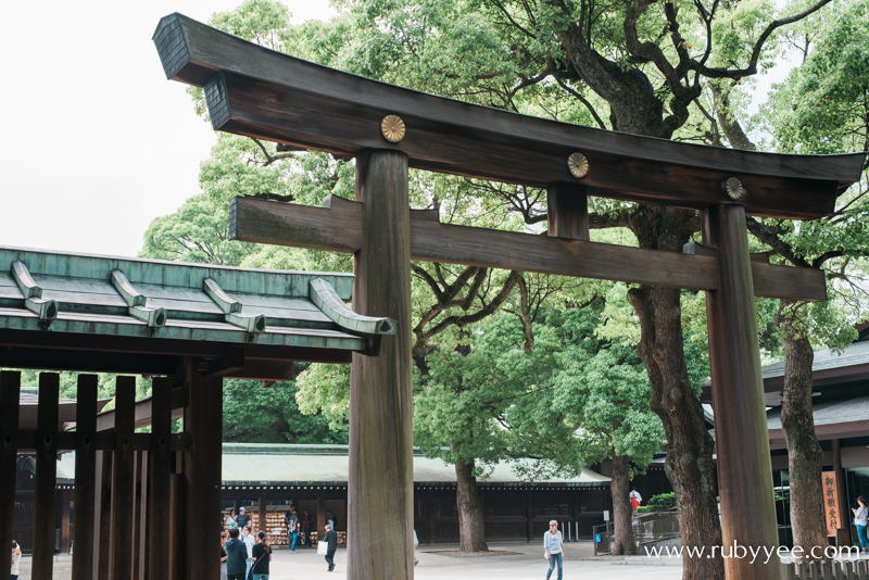 Meiji Jingu | www.rubyyee.com